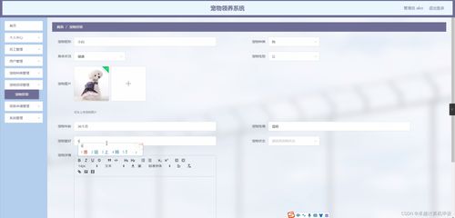 SpringBoot寵物領(lǐng)養(yǎng)系統(tǒng)23998計(jì)算機(jī)畢業(yè)設(shè)計(jì) 一個全棧軟硬件開發(fā)實(shí)踐